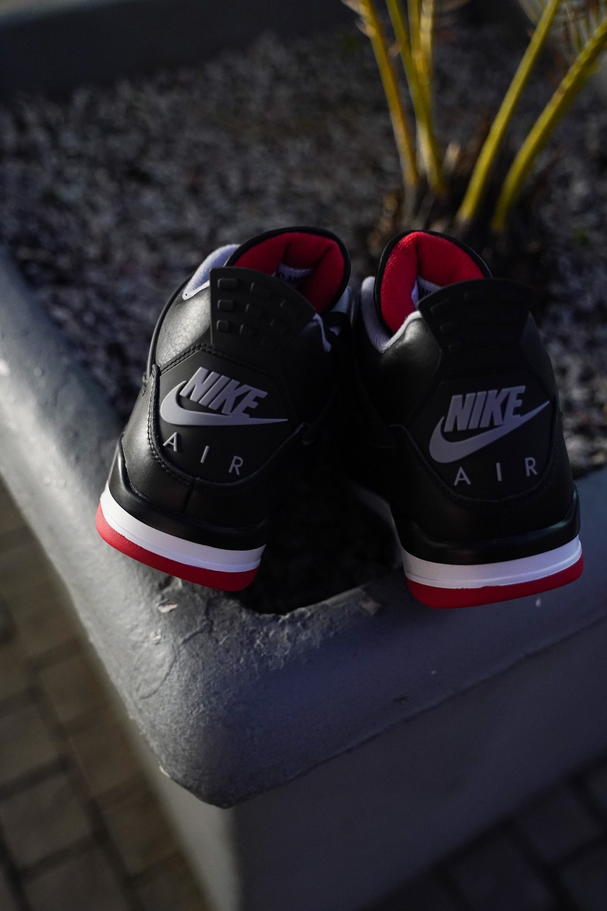 The Air Jordan 4 “Bred Reimagined”