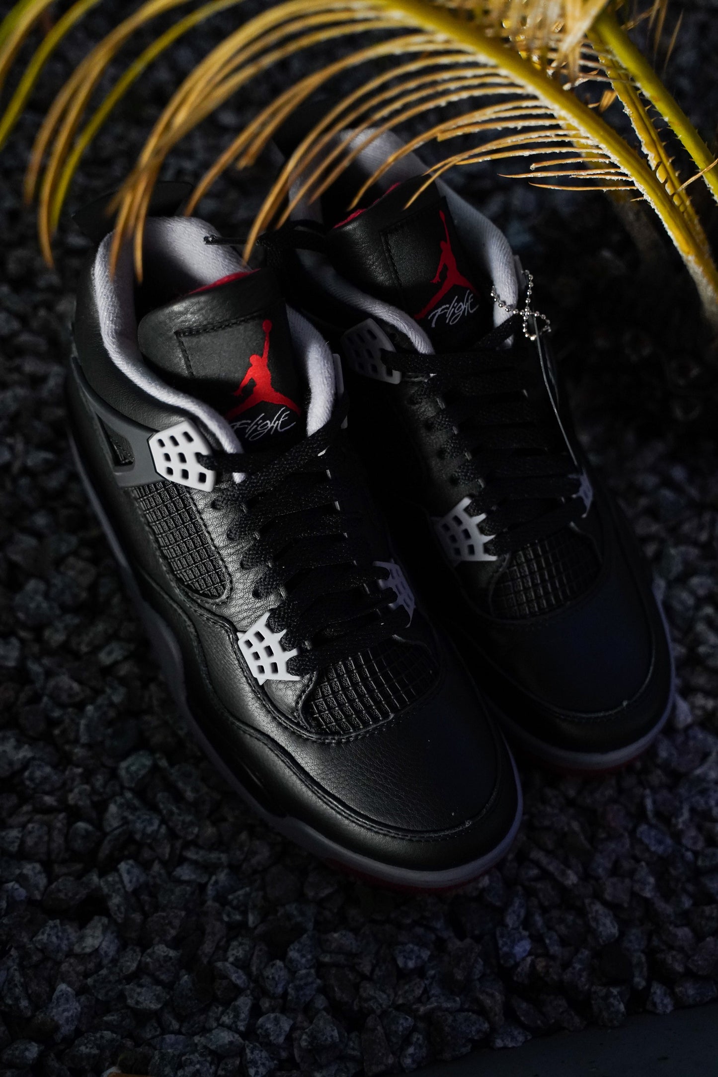 The Air Jordan 4 “Bred Reimagined”